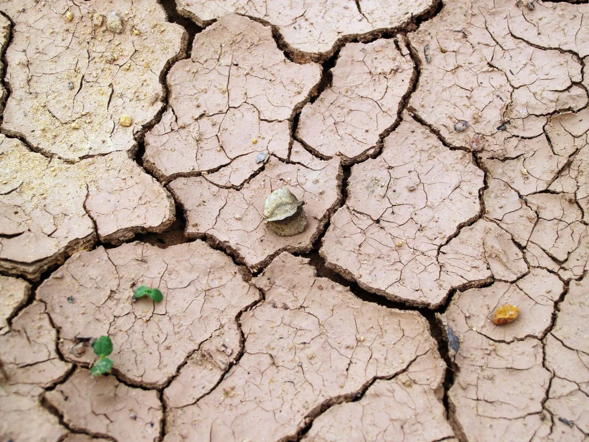Cracked Blackland clay soil showing extreme low permeability typical of Collin County TX